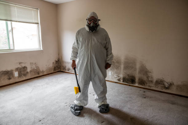 Best Health and Safety Mold Remediation in Liberty Triangle, FL